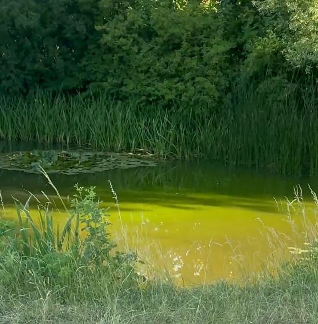 Wasser ist Leben – zur Wasserversorgung auf der Alb -> gestern, heute und morgen.